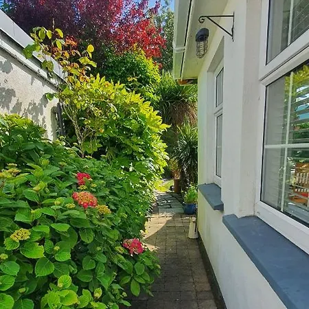 Homestay 124 ,castlelawn Heights, Headford Road Homestay